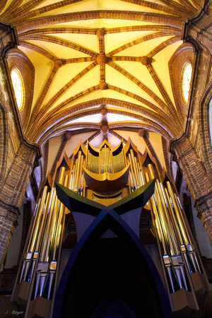 Les grandes orgues allemandes -- The German organ