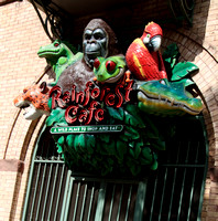 Entrée du Rainforest Cafe sur la rue -- Entrance to Rainforest Cafe from the street