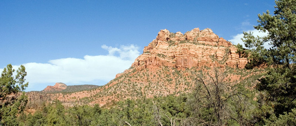 Le grès Navajo forme la plus grande partie du Canyon de Zion --- Navajo sandstone form most of Zion Canyon