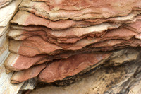Détails de la roche -- Details of the rock