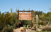 Desert Museum