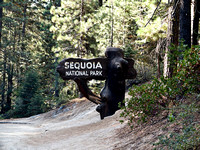 Sequoia National Park - California 2013