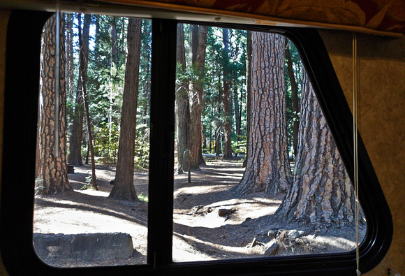 Vue de notre lit au camping de Yosemite Village -- View from our bed at the Yosemite Village Campground