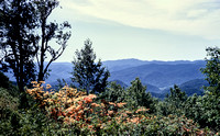 1970-05 Smokey Mountains Tennessee