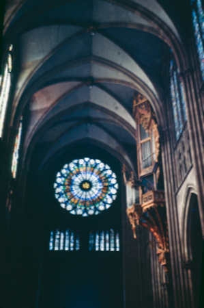 Cathédrale de Strasbourg -Rosace centrale et les grandes orgues