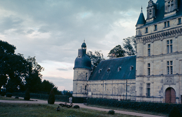 Château de Valencay - Cignes noirs