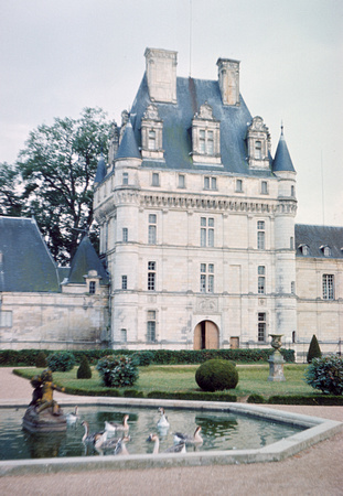 Château de Valencay - Cignes blancs