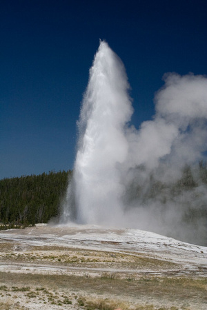 Old Faithful, le symbole du parc, n'est qu'un des 300 geysers et des milliers d'autres éléments de Yellowstone. -- Old Faithful, the park's signature is just one of over 300 geysers and thousands of o