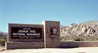 1977 Joshua Tree National Monument