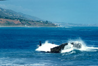 Santa Barbara 1977