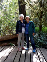 2019-08-24 - Cathedral Grove, lac Cameron et chèvre sur le toit