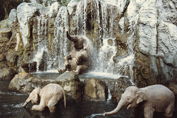 Les joyeux éléphants de Jungle Cruise