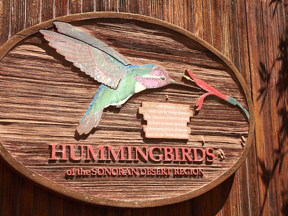 Des dizaines de colibris dans une volière --- Dozens of hummingbirds in an aviary