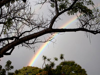 Après la pluie --- After the rain