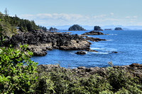 2019-04-28 Sentier vers le phare d'Ucluelet -- Trail to Ucluelet lighthouse