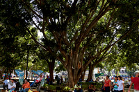 El zócalo: Place centrale --- Main square