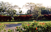 The Bay Club est très fleuri