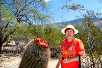 2013 Arizona