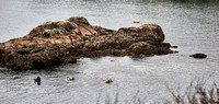British Columbia-photos
