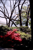 Washington 1974